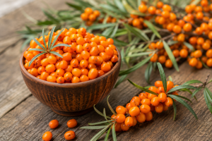 Sea Buckthorn