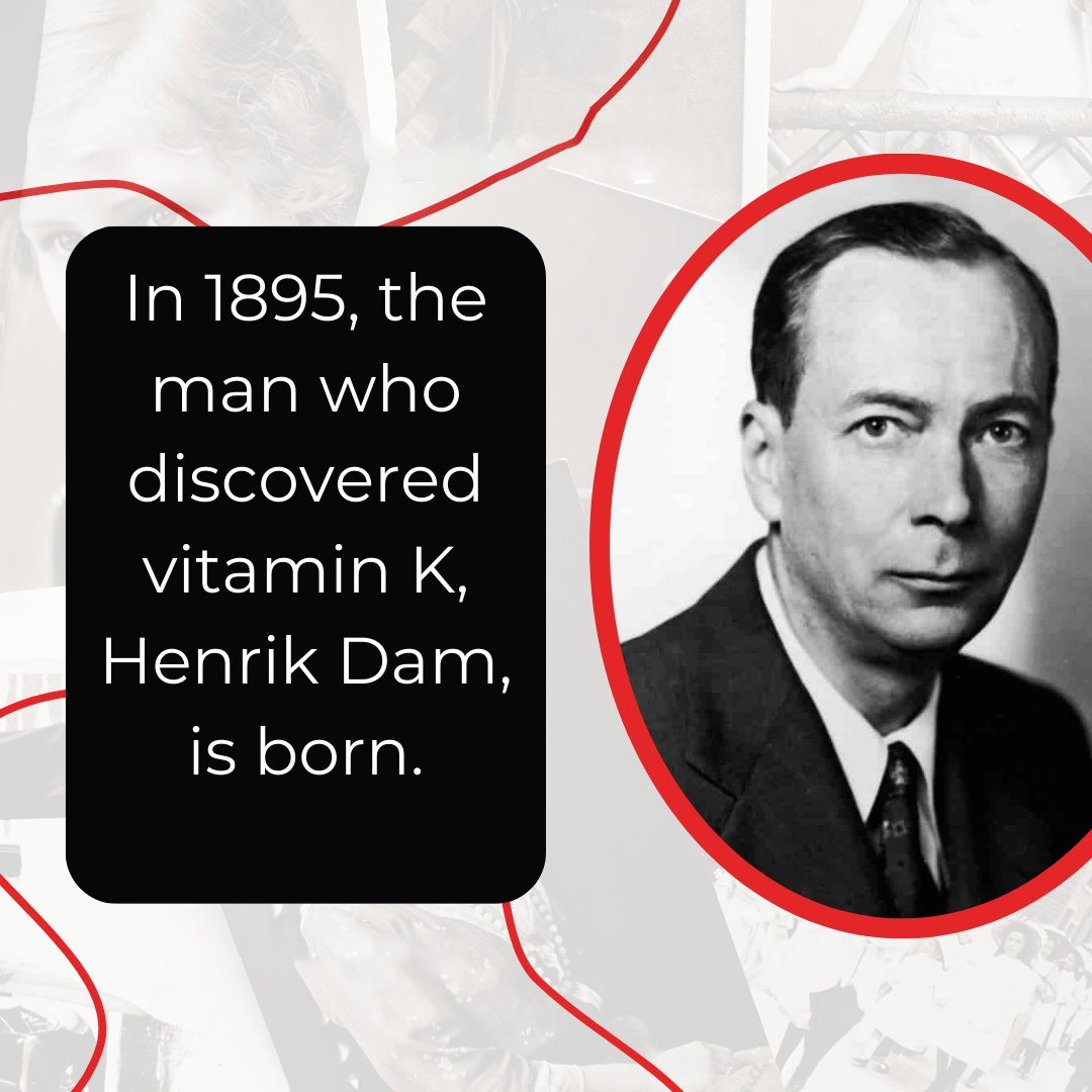Histrory Of Vitamin K