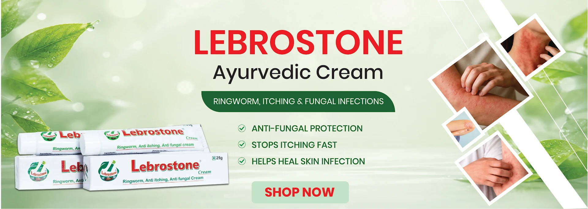 Lebrostone Antifungal Cream