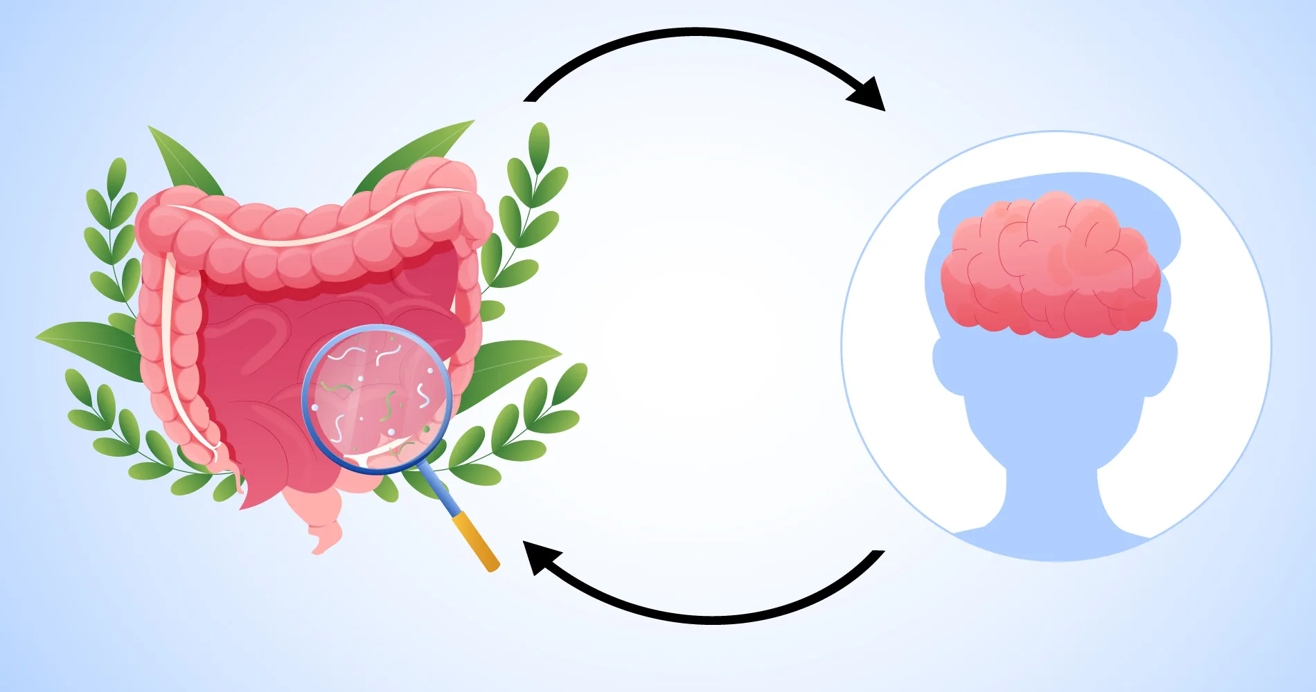 What is the gut-brain axis? How does the brain or stomach talk?